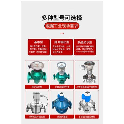 椭圆齿轮流量计  柴油流量计  汽油流量计图4