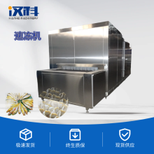 隧道式锁鲜速冻机 海产品加工速冻设备 快速冷冻速冻机