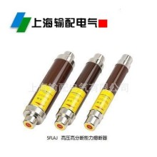 变压器保护用高压限流熔断器XRNT1-12/2A~200A (SDLAJ-12/2~200A)