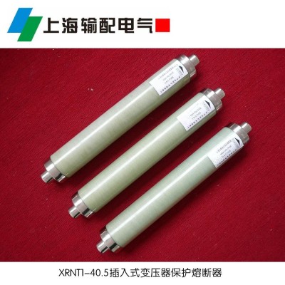 变压器保护用高压限流熔断器XRNT1-12/2A~200A (SDLAJ-12/2~200A)图2