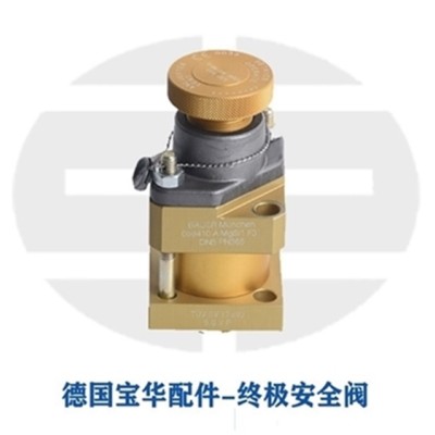 德国宝华空气充填泵配件空气滤芯N4823图4