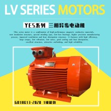 二级能耗YE4-200L-4-30KW异步电动机GB18613-2020节能马达