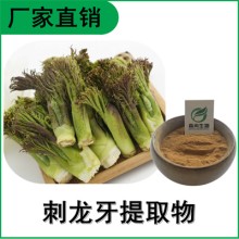 森冉生物 刺龙牙提取物 刺老芽提取物