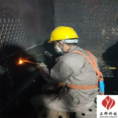 武汉钢铁厂防磨料实体大厂 正邦龟甲网胶泥图2