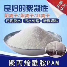 阳离子聚丙烯酰胺 污泥脱水剂 压滤机脱泥 污水处理絮凝药剂