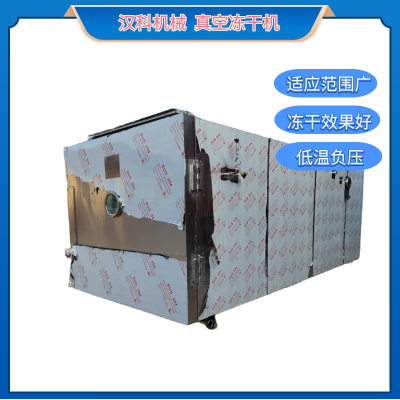 低温真空冻干机 全自动冻干机 海参低温冻干机图2