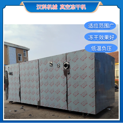 低温真空冻干机 全自动冻干机 海参低温冻干机图3