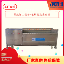 黄精去皮机 毛辊去皮设备 U型毛刷清洗机