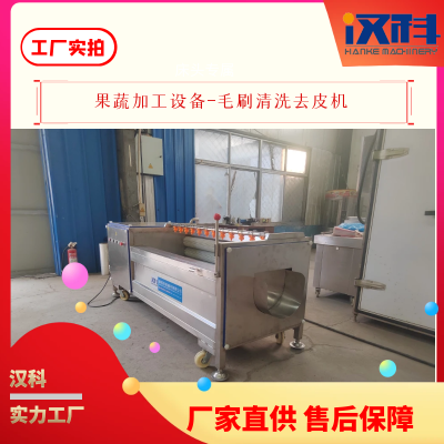黄精去皮机 毛辊去皮设备 U型毛刷清洗机图2