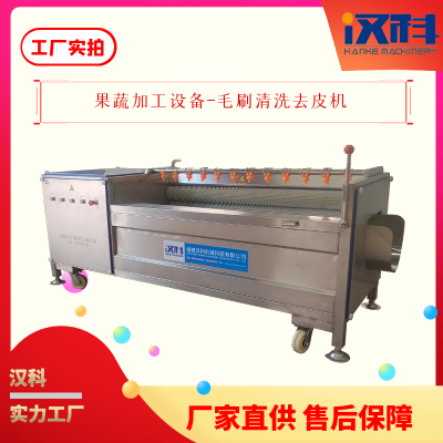 黄精去皮机 毛辊去皮设备 U型毛刷清洗机图3