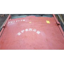 PZ平面铸铁闸门