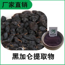 森冉生物 黑加仑提取物 黑加仑粉 比
