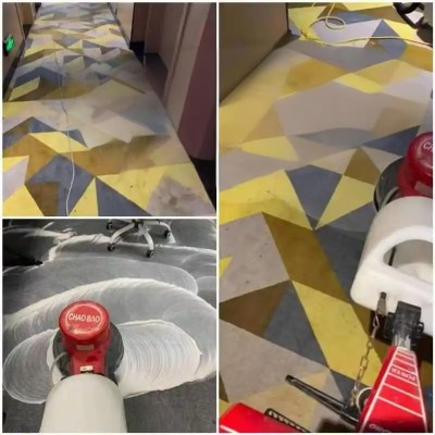 南京快速上门清洗地毯公司服务 南京地毯深度清洗除螨价格便宜 附近洗地毯多年电话图4