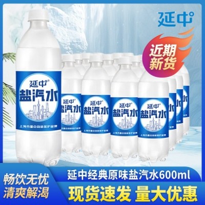 上海延中盐汽水600ml*20瓶 410ml*12咸柠汽水团购批发厂家自营碳酸饮料苏打水矿泉水图2
