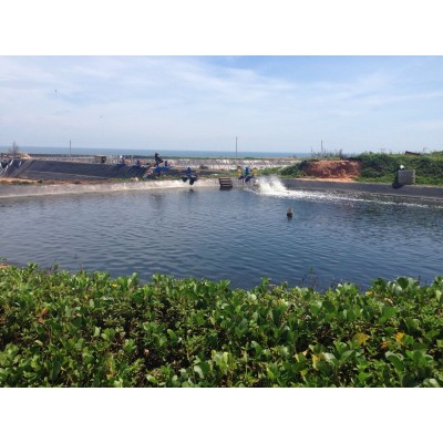 海南文昌翁田高位池海水养虾黑膜0.35mm0.50mm厚hdpe土工膜图4