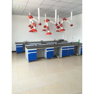 张家口、承德、唐山、秦皇岛、沧州、衡水、廊坊实验室家具操作台仪器台图6