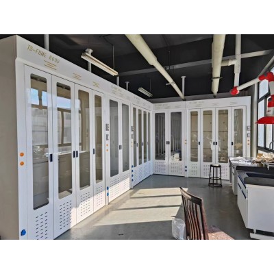 通风柜厂家铅山县、横峰县、弋阳县、余干县、鄱阳县、万年县、 化验室通风柜婺源县图4