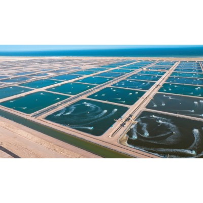 8米宽210米长厚度是1.0mm的hdpe土工膜出口印尼高位池海水养虾图3