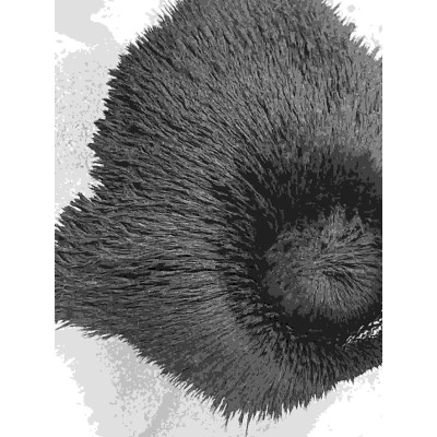 钕铁硼磁粉,粘结磁粉,可注塑,可作磁粒图3