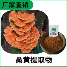 森冉生物 桑黄提取物 桑黄多糖 桑耳