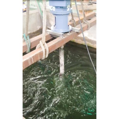 JBJ-500浆式搅拌机 不锈钢立式混合快速搅拌器图2