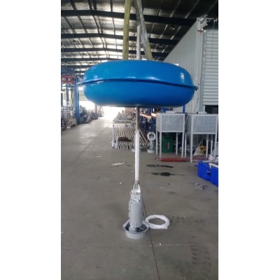 P/LHJ-1.5型浮筒式液下搅拌机 立式环流搅拌器图3