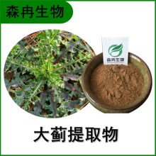 森冉生物 大蓟提取物 大刺儿菜提取物