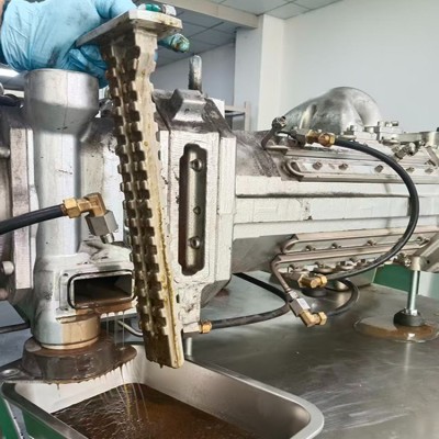 20251021 爱德华EXS750真空泵常见故障精准诊断与高精度修复方案图7