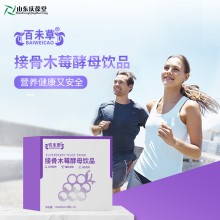 接骨木莓酵母饮品  源头厂家品牌定制 山东庆葆堂