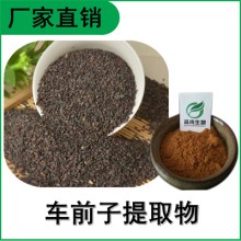 森冉生物 车前子提取物 车前实提取物