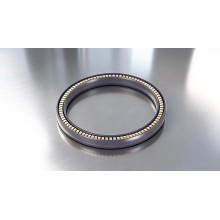 新能源装备金色弹簧泛塞封密封圈PTA批发厂家