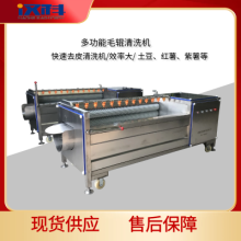 桔梗去皮清洗机 毛辊清洗机 去皮清洗设备