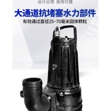 AS型立式无堵塞吸砂泵