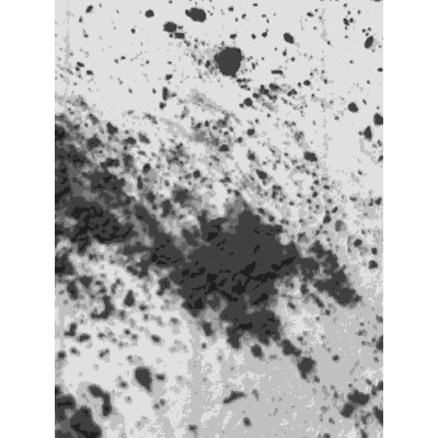 球型铁粉,包覆二氧化硅图2