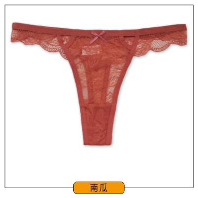 跨境希音新款丁字裤性感蕾丝镂空低腰女士内裤云梦妮内裤图5