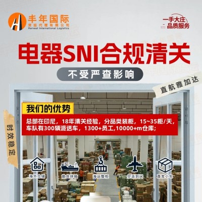 中国电器出口印尼海运空运双清包税专线全境派送一站式解决方案图2