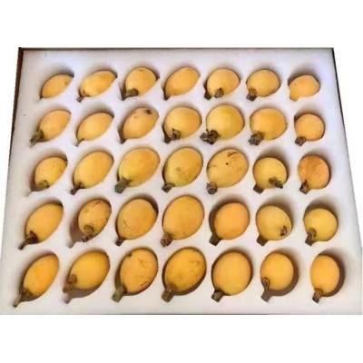 水果海绵托 水果包装海绵 蔬菜海绵托图1