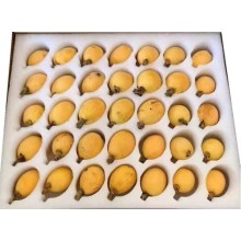 水果海绵托 水果包装海绵 蔬菜海绵托