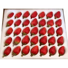 草莓海绵托 草莓泡沫托 草莓包装海绵