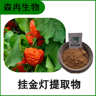 森冉生物 挂金灯提取物 锦灯笼提取物 比例提取原料粉图1