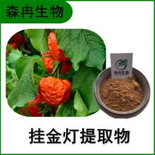 森冉生物 挂金灯提取物 锦灯笼提取物 比例提取原料粉